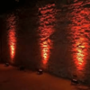 Corded Uplighter - Mega TriPar Profile Plus - Image 2